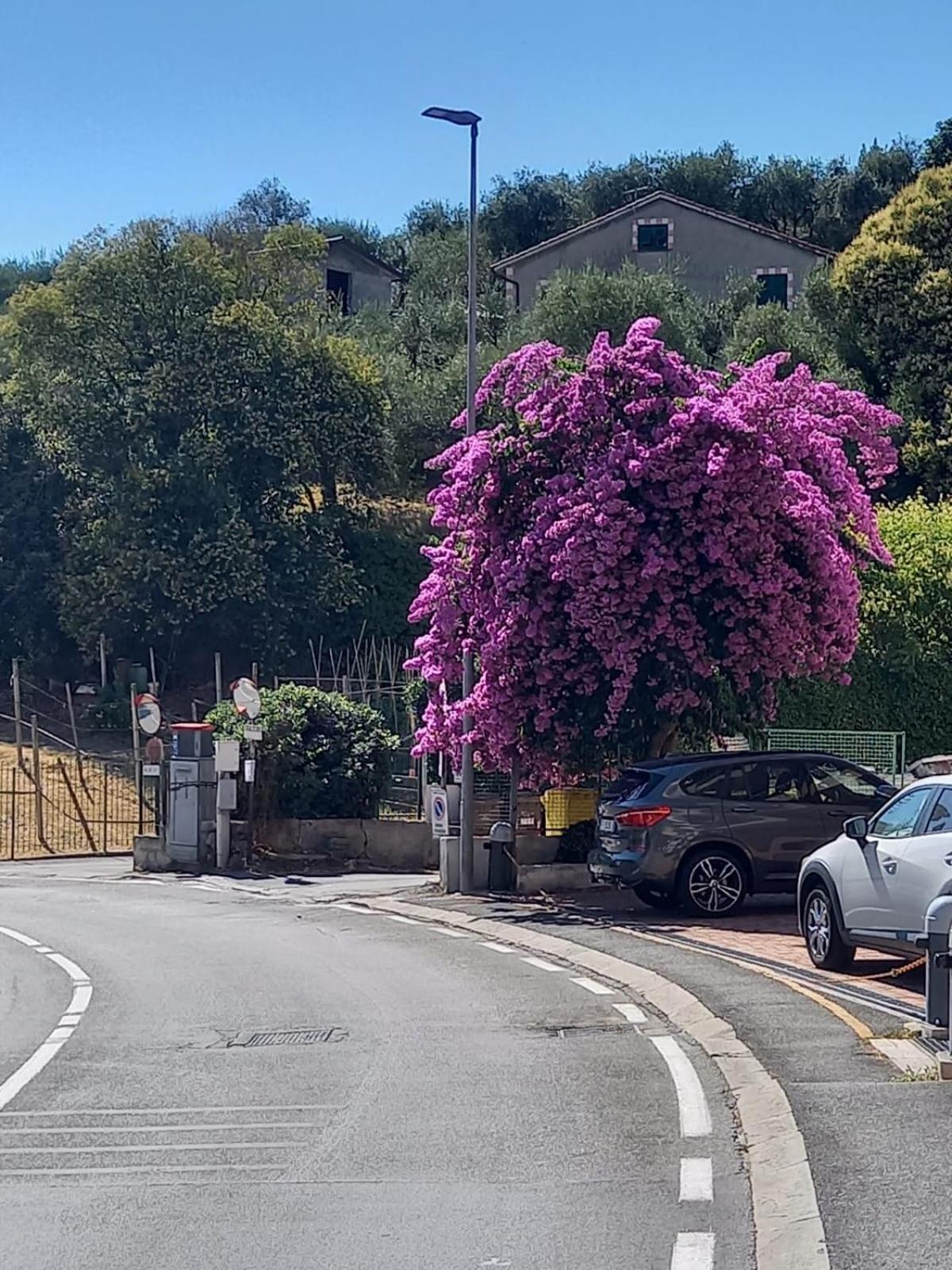 Terrazza Sul Mare In Via Devoto Lägenhet Chiavari Exteriör bild